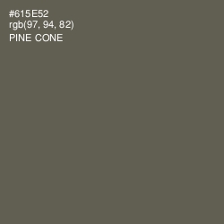 #615E52 - Pine Cone Color Image